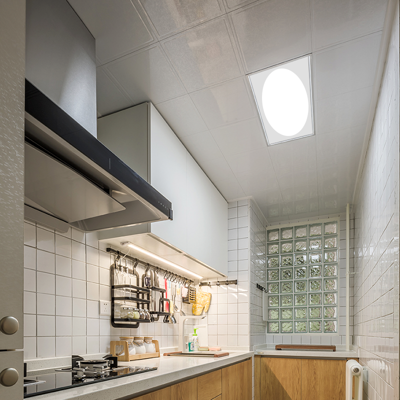 LED paneel met ovaal lichtvlak in het plafond