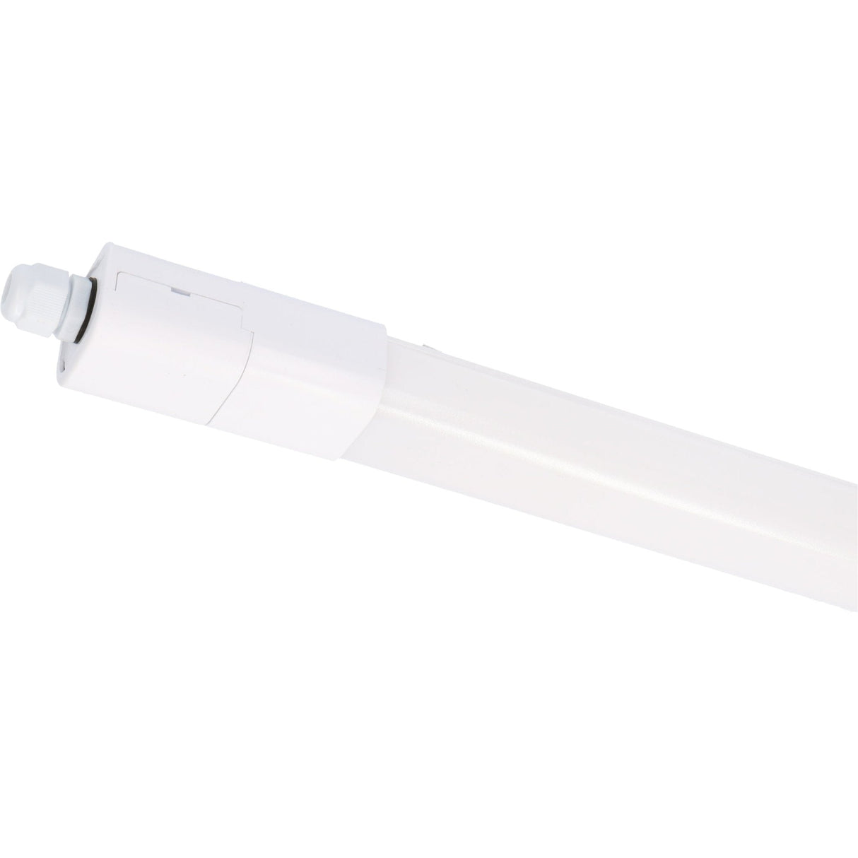 LED's Light LED TL verlichting compleet 120 cm - Geschikt voor buiten en binnen - 2420 lm