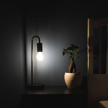 Dimmable LED filament lamp - E27 fitting - Dimmable warm white light - Classic
