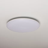 LED.nl Dimmable LED Ceiling Lamp _ 35 cm - Dimmable in 8 settings - Warm white ceiling lamp