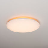 LED.nl Dimmable LED Ceiling Lamp _ 35 cm - Dimmable in 8 settings - Warm white ceiling lamp