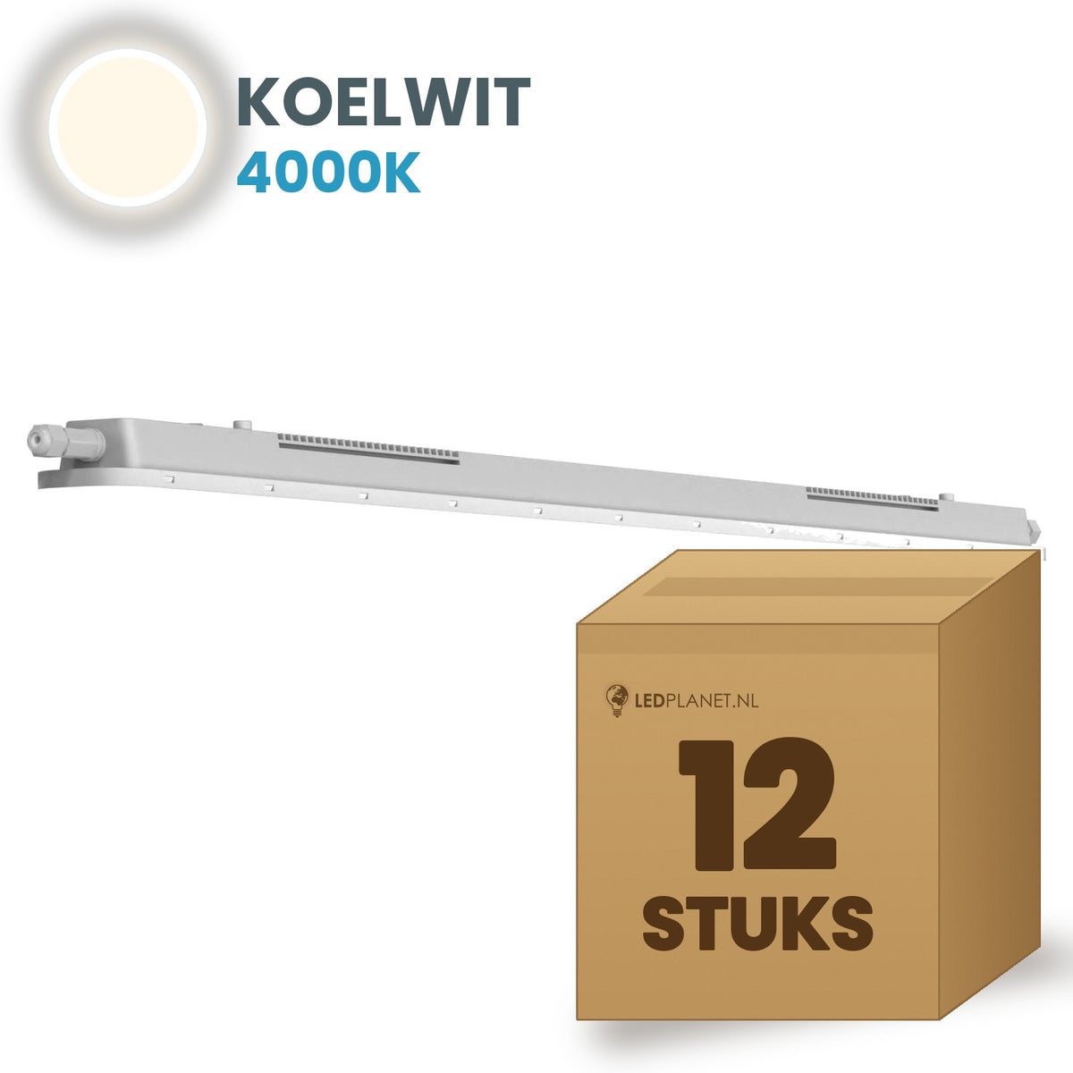 Scatola con 12 plafoniere LED stagne Tri-Proof 600mm bianco freddo 4000K