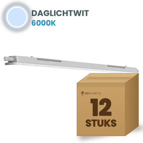 Karton mit 12 LED Feuchtraumleuchten Tri-Proof 600mm Tageslichtweiß 6000K