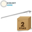 Doos met 2 LED tri-proof armaturen 1200mm koelwit 4000K