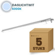 Doos met 5 LED tri-proof armaturen 1200mm daglichtwit 6000K