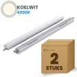 Doos met 2 LED tri-proof armaturen 1200mm koelwit 4000K