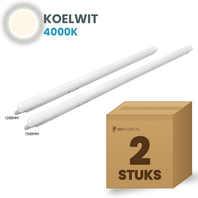 Carton avec 2 réglettes LED étanches Tri-Proof 1200mm blanc froid 4000K