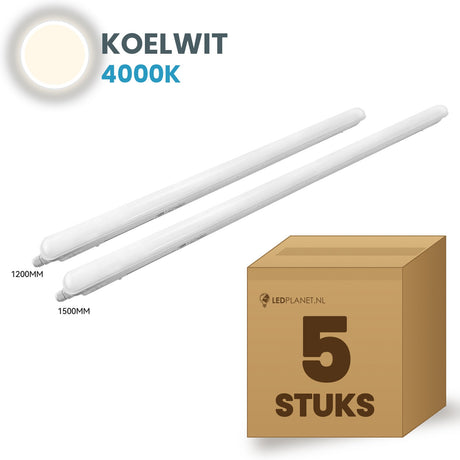Scatola con 5 plafoniere LED stagne Tri-Proof 1200mm bianco freddo 4000K
