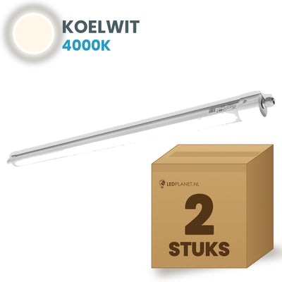 Box with 2 LED Tri-Proof battens 1500mm cool white 4000K