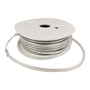 LED lichtslang 230V SMD2835 op rol van 50 meter met stekker