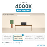 Lichtkleur 4000K - neutraal wit