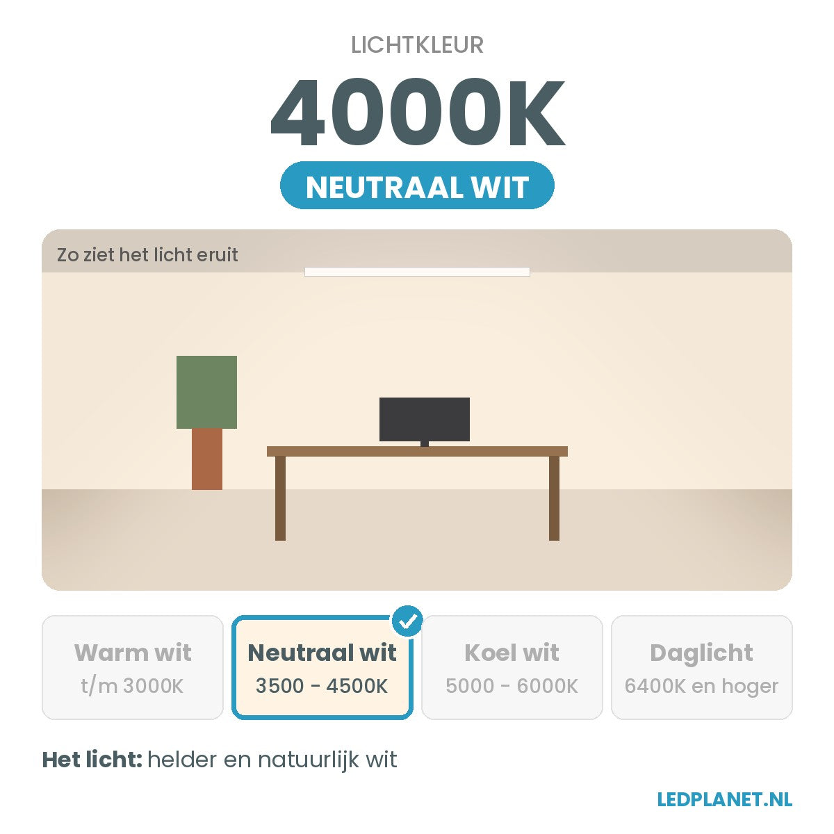 2× 150W straatlamp + 2 mastadapters - lichtkleur