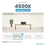 Lichtkleur 4500K - neutraal wit