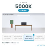 Lichtkleur 5000K - koel wit