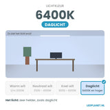 Lichtkleur 6400K - daglicht