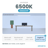 Lichtkleur 6500K - daglicht
