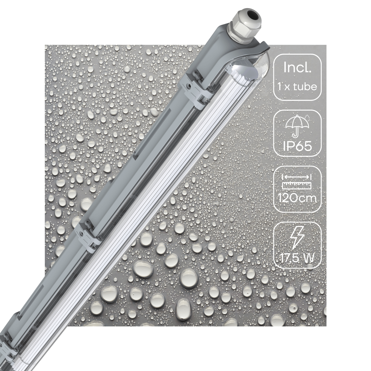 LED's Light LED TL armatuur 120 cm compleet met LED TL buis - 2160lm