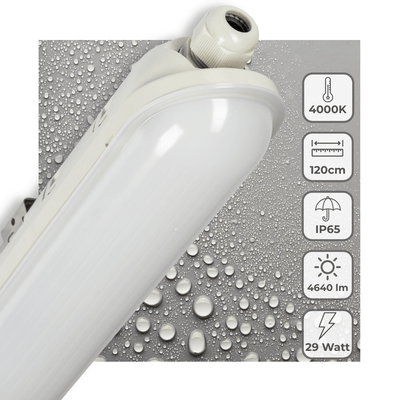 LED-TL-Leuchte, komplett kaltweiß 4000 K – 29 W, 4640 Lumen – 120 cm, IP65 wasserdicht, IK08