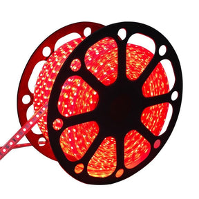 Rote Lichterkette | 230 V AC – 7 W – 60 LEDs/m | spritzwassergeschützt IP65 | 50 Meter – LEDPLANET.NL