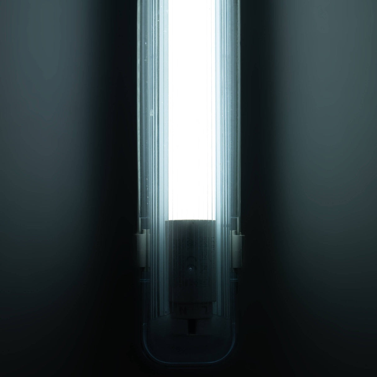 LED's Light LED TL verlichting compleet met LED TL buis 120 cm - 3 lichtkleuren - 18W (36W)