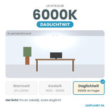 Lichtkleur daglichtwit 6000K van de LED Spot GU10 5W