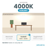 Lichtkleur koelwit 4000K van de LED Spot GU10 5W