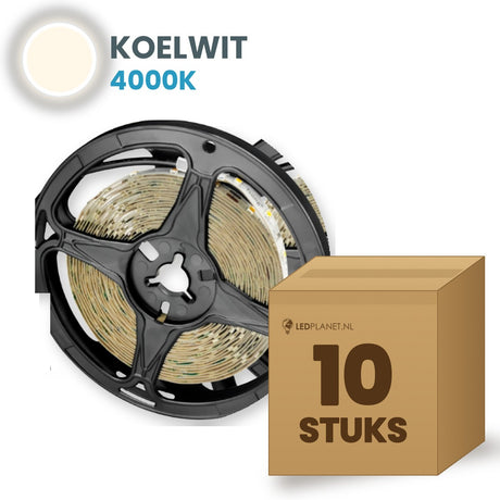 Carton de 10 rouleaux de ruban LED, blanc froid 4000K