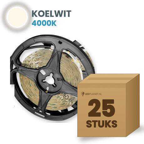 Carton de 25 rouleaux de ruban LED, blanc froid 4000K