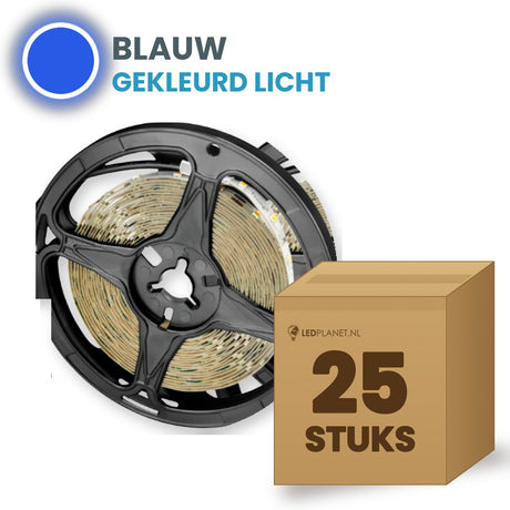 Scatola con 25 rotoli di striscia LED, blu