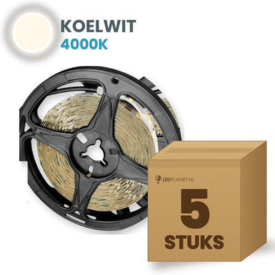 Karton mit 5 Rollen LED-Streifen, Kaltweiß 4000K