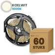 Karton z 60 rolkami taśmy LED, biały chłodny 4000K
