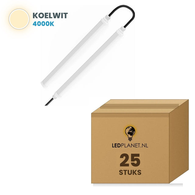 Karton mit 25 Stück, Lichtfarbe neutralweiß 4000K