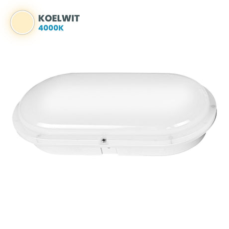 LED bulkhead oval 212x113 mm, light colour cool white 4000K