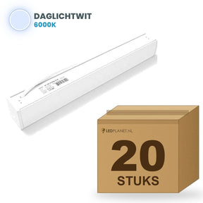 Karton mit 20 Stück, Lichtfarbe tageslichtweiß 6000K