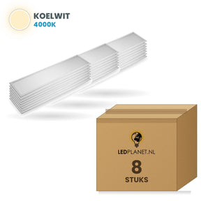 Carton de 8 pièces, couleur de lumière blanc neutre 4000K