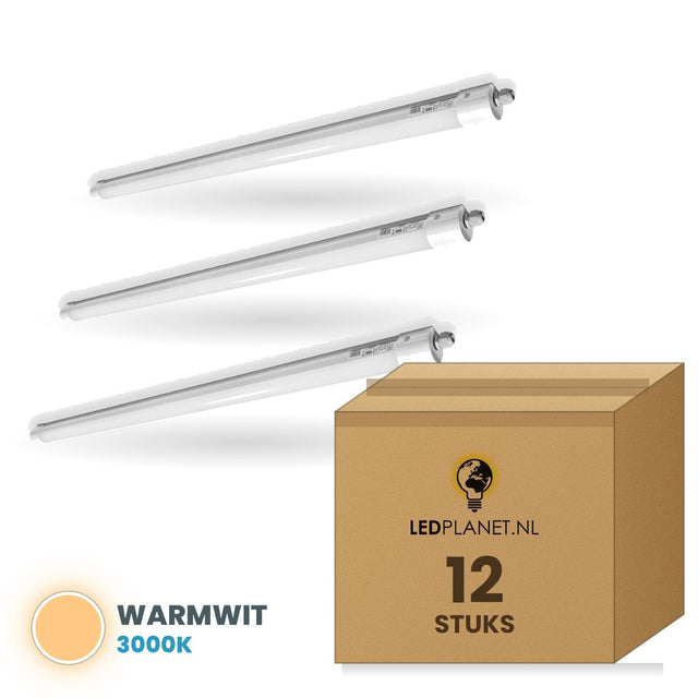 Karton mit 12 Stück, Lichtfarbe warmweiß 3000K