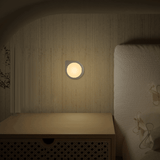 Nachtlampje rond warmwit | dagnachtsensor | 3000K - 0.2 Watt - 5 Lumen - 230V - LEDPLANET.NL