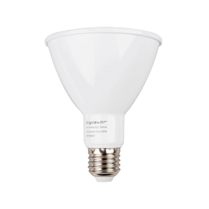 PAR30 spot - E27 - daglichtwit 6500K - 60° - LED 12W=125W halogeenlicht - 230V