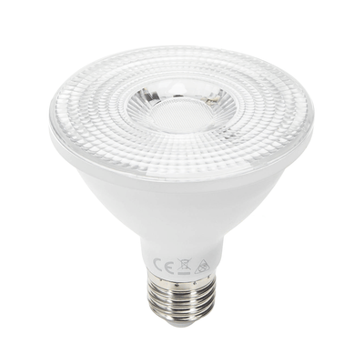 PAR30 spot, E27, warmwit 3000K, 60°, LED 12W=125W halogeenlicht, 230V