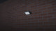 Video LED schijnwerper 20W, 2.000 lm, warmwit 3000K, 120°, IP66