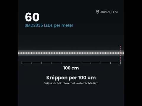 Video LED lichtslang 230V daglichtwit 6000K, 60 LEDs per meter