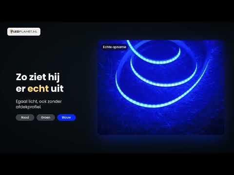 Video COB LED strip RGB 24V: 576 LEDs per meter, elke kleur