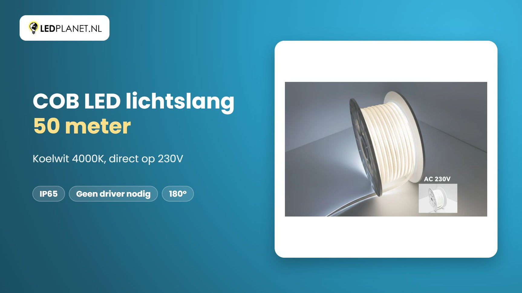 Video COB LED lichtslang 230V, koelwit 4000K, 1.000 lm/m, IP65, 50 meter