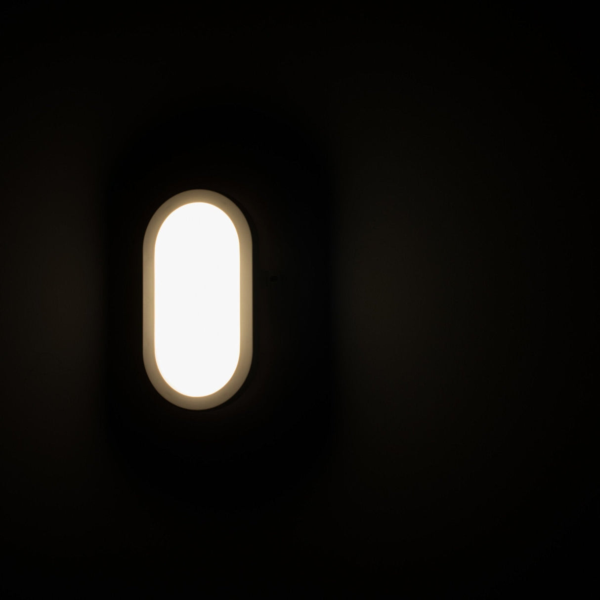 Proventa Outdoor LED Bull eye buitenlamp - Wandlamp model Ovaal voor buitengebruik