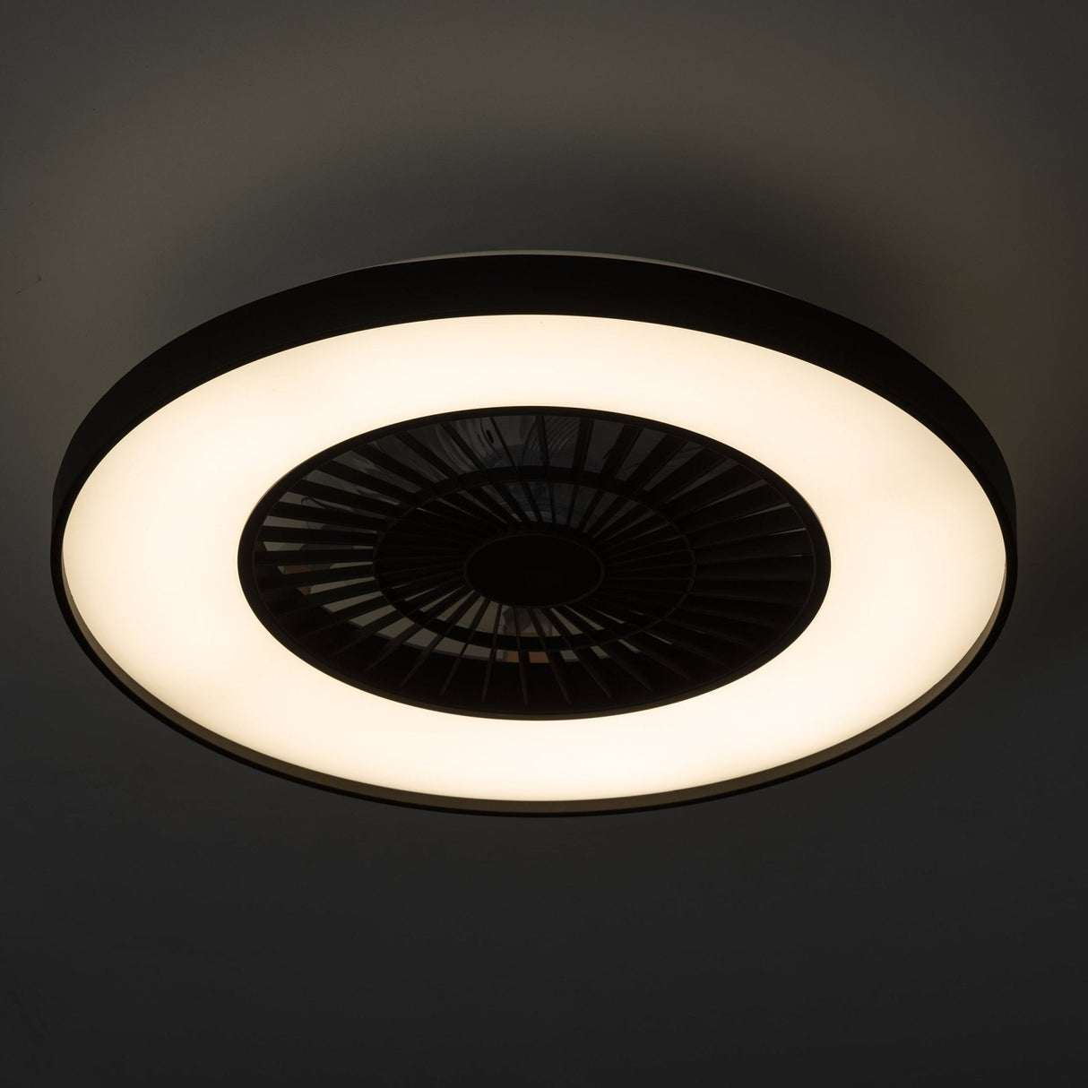 Proventa Premium Plafondventilator met lamp 60 cm - Zomer- en winterstand met afstandsbediening - Zwart