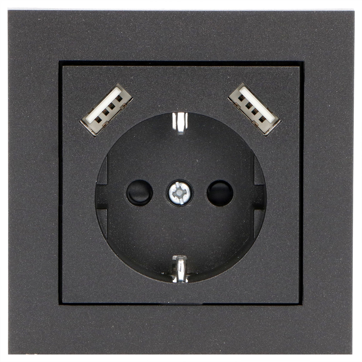 Reflex-Einsatzplatte für Wandsteckdose mit 2 USB-Anschlüssen – Schwarz