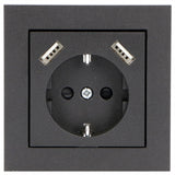 Reflex-Einsatzplatte für Wandsteckdose mit 2 USB-Anschlüssen – Schwarz