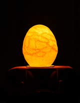 Special edition LED lamp in ei-vorm met warme oranje gloed en unieke textuur
