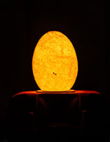 Special edition LED lamp in de vorm van een ei, warm oranje licht, modern design