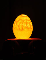 Special edition LED lamp in eivorm, warm geel licht, sfeervol en decoratief voor elk interieur